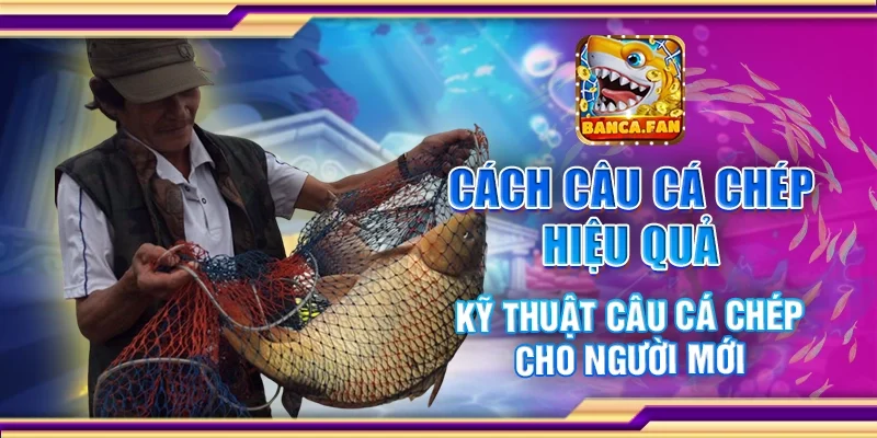 Cách câu cá chép hiệu quả – Kỹ thuật câu cho người mới