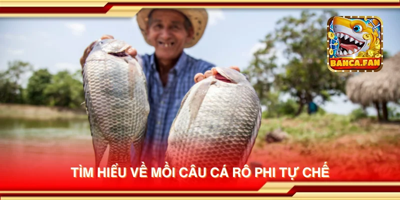 Tìm hiểu về mồi câu cá rô phi tự chế