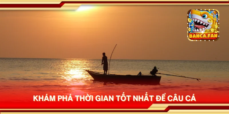 Khám phá thời gian tốt nhất để câu cá