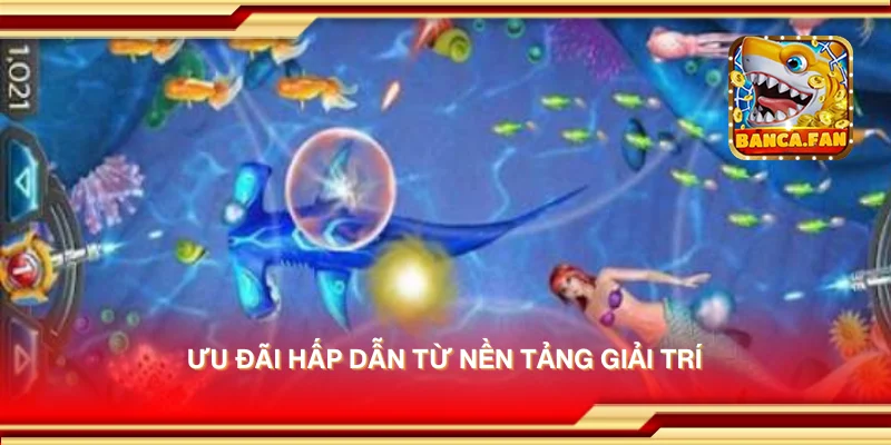 Ưu đãi hấp dẫn từ nền tảng giải trí