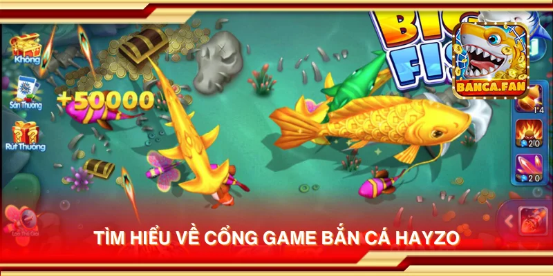 Tìm hiểu về cổng game bắn cá Hayzo